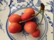 私に今、必要のないものは手放す訓練を
